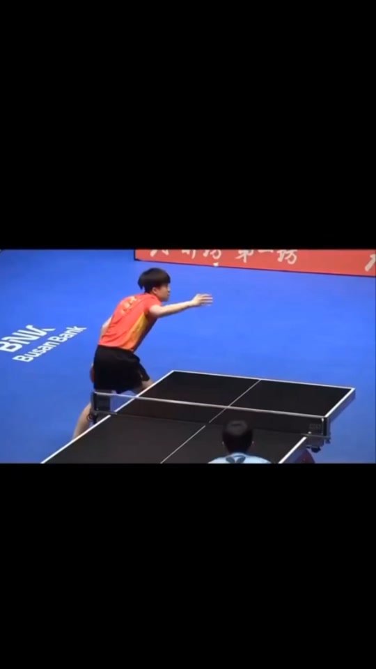 开云体育下载-韩国队险胜波兰队，许昕高光表现